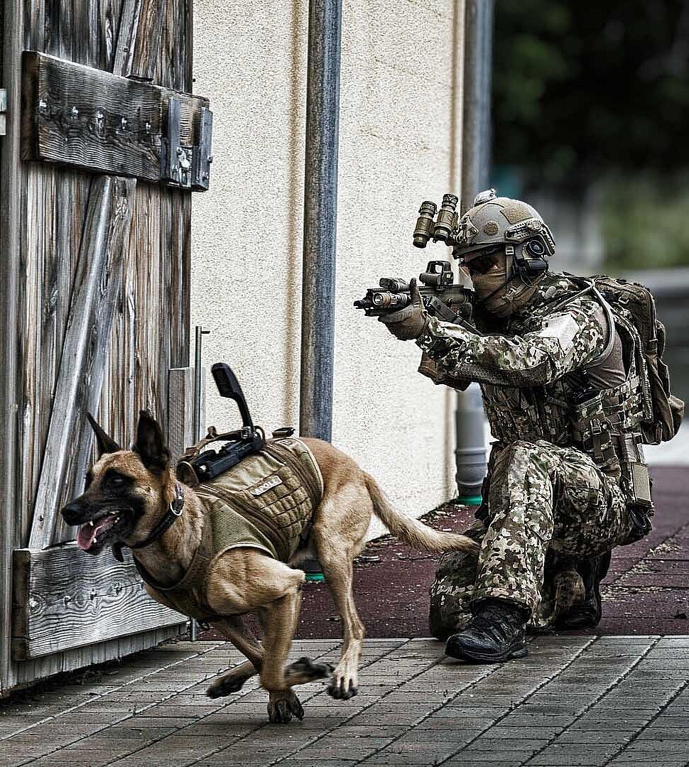 Diensthund springt durch Tür, Soldat sichert Bereich mit Gewehr