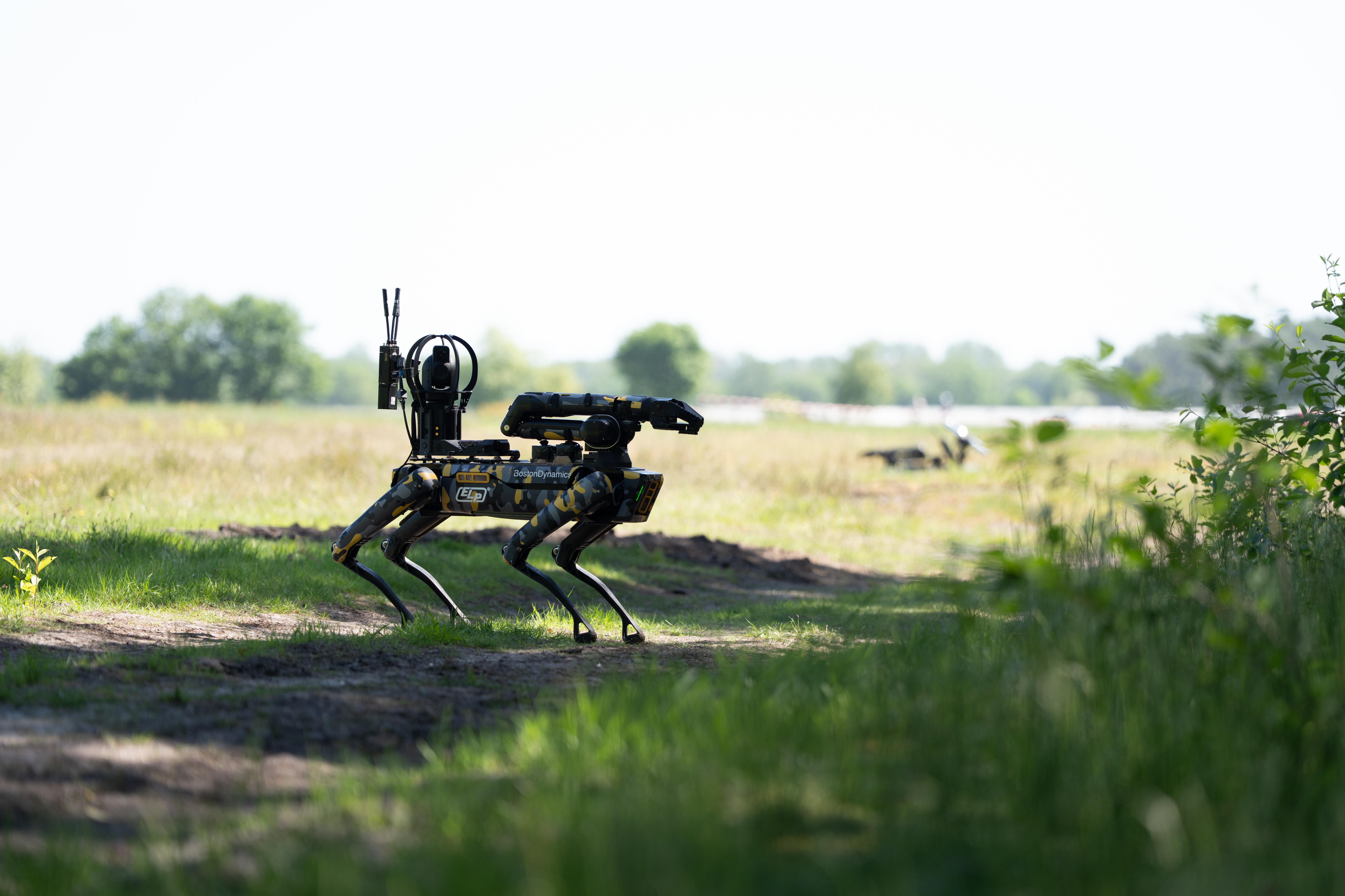 Roboterhund zur Räumung von Minensperren